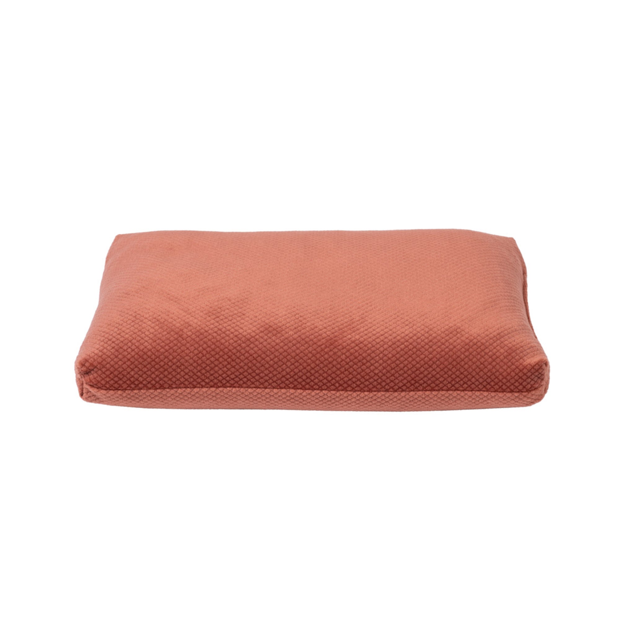 Bouillotte aux cosses de sarrasin